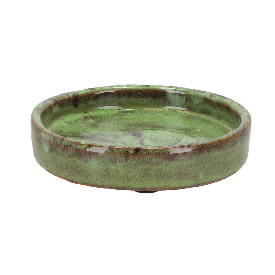 Fallen Fruits 12cm Green Glazed Plant Pot Saucer