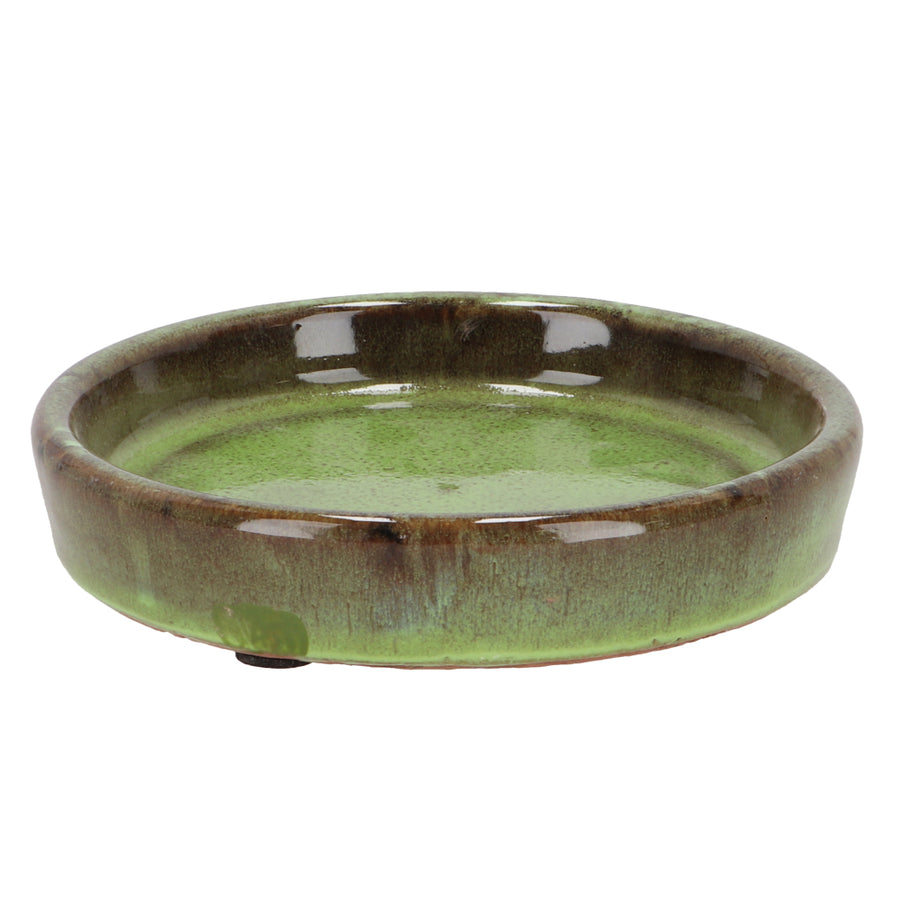 Fallen Fruits 15cm Green Glazed Plant Pot Saucer