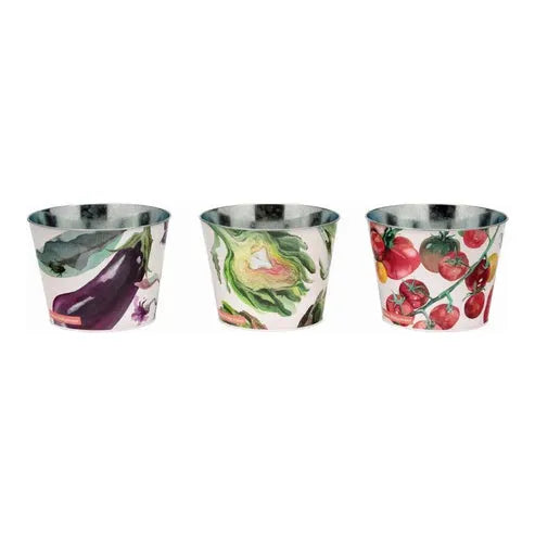 Emma Bridgewater Spring Set 3 Herb Pots