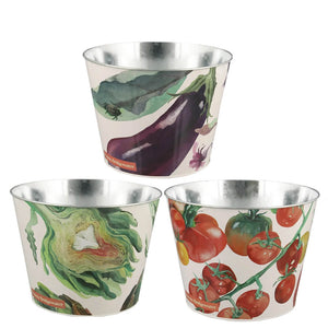 Emma Bridgewater Spring Set 3 Herb Pots