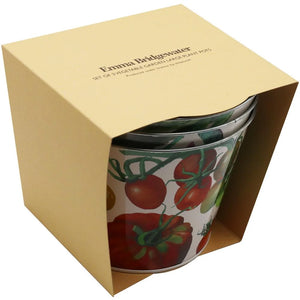 Emma Bridgewater Dig the Garden Set Plant Pots