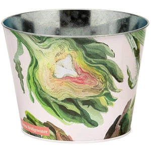 Emma Bridgewater Dig the Garden Set Plant Pots